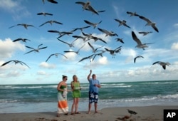 FILE - Preslee Rakes, left, her mother Tina Rakes, center, and Brad Cunningham, right, all from Kansas, feed seagulls during a visit to the South Beach area of Miami Beach, Florida, Dec. 11, 2011.