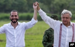 Mexican President Andres Manuel Lopez Obrador, right, and the President of El Salvador Nayib Bukele, raise their arms during a visit to a tree nursery at a military reserve in Tapachula, Mexico, Thursday, June 20, 2019.