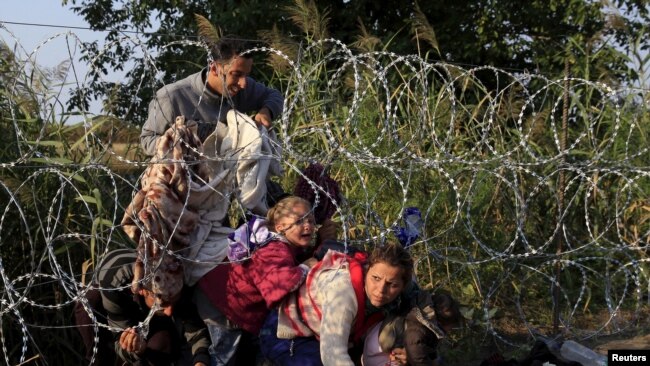 Syrian migrants cross under a fence as they enter Hungary at the border with Serbia, near Roszke, Hungary, August 27, 2015. Picture taken August 27, 2015.