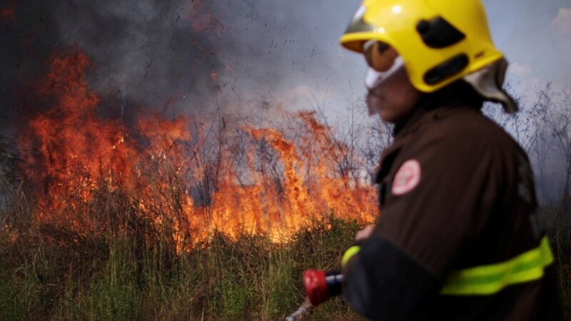 Amazon Continues to Burn in 2020, Even after Promises to Save It