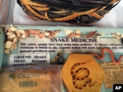 Examples of snake medicine used in traditional indigenous healing are shown, July 17, 2017, at the University of New Mexico in Albuquerque as part of school's annual course on Curanderismo indigenous healing methods.