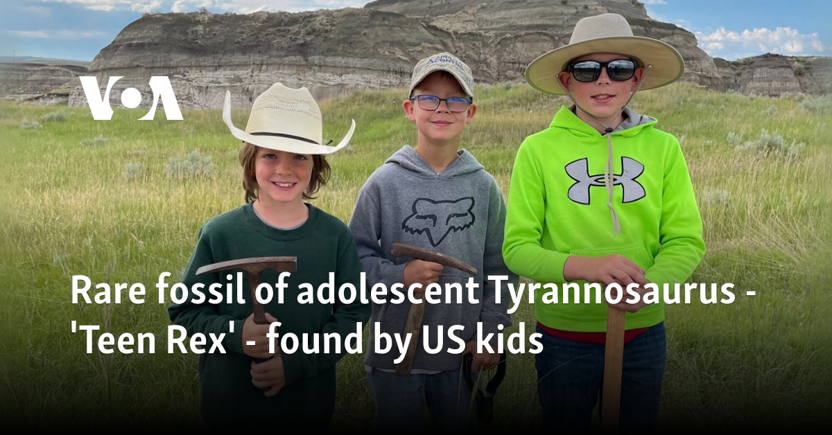 Rare fossil of adolescent Tyrannosaurus - 'Teen Rex' - found by US kids