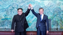 နျူကလီးယားကင်းစင်ရေး ပူးပေါင်းကြိုးပမ်းဖို့ တောင်-မြောက်ကိုရီးယား သဘောတူ