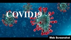 Koronavirus