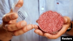 FILE - Professor Mark Post holds the world's first lab-grown beef burger during a launch event in west London, Aug. 5, 2013. Mosa Meat, a Dutch company that presented the world's first lab-grown beef burger five years ago, said July 17, 2018, it has received funding to pursue its plans to make and sell artificially grown meat to restaurants from 2021.