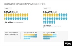 Houston's non-Hispanic white population.