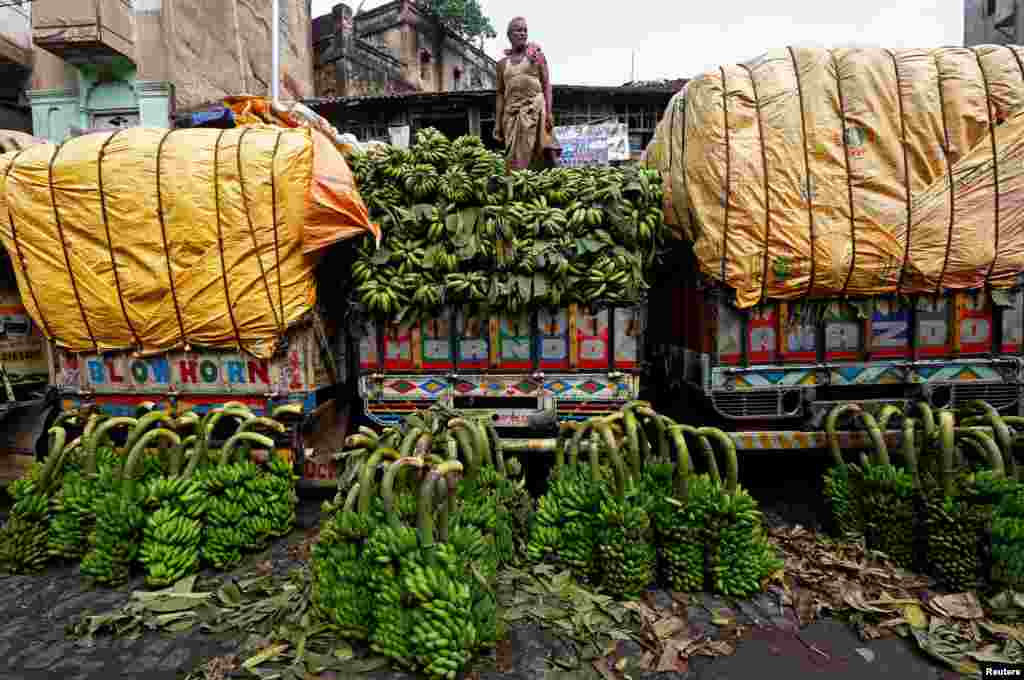 A worker unloads raw bananas, which will be used as offerings during prayers ahead of the Hindu religious festival of Chhath Puja, from a truck at a wholesale market in Kolkata, India.