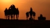 Emirati men walk their camels at sunrise during the Mazayin Dhafra Camel Festival in the desert near the city of Madinat Zayed, some 150 kms west of the capital Abu Dhabi, on January 23, 2022. 