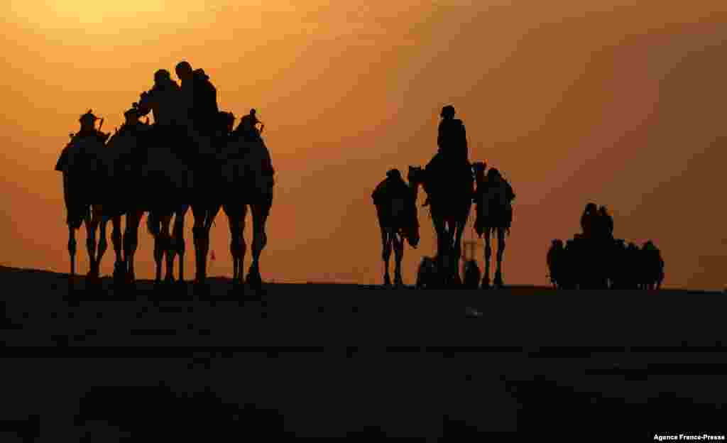 Emirati men walk their camels at sunrise during the Mazayin Dhafra Camel Festival in the desert near the city of Madinat Zayed, some 150 kms west of the capital Abu Dhabi.