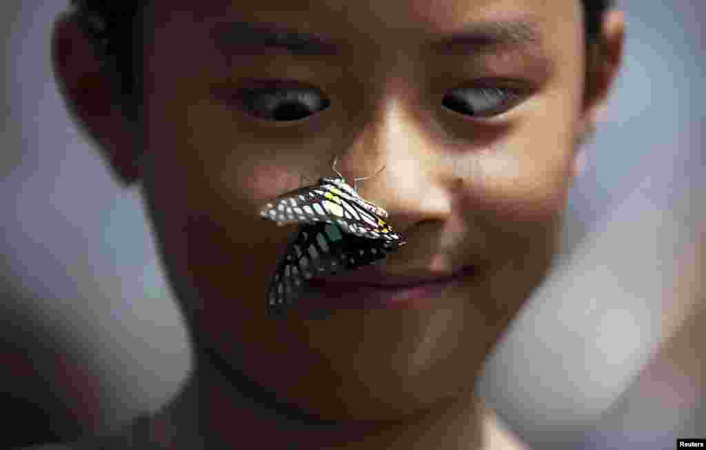 A boy reacts as a butterfly stops on his nose during a butterfly exhibition at a park in Kunming, Yunnan province, China, Sept. 26, 2015.