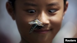FILE - A boy reacts as a butterfly lands on his nose at a park in Kunming, Yunnan province, China, Sept. 26, 2015.