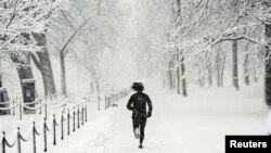 In Photos |  Winter storm brings heavy snow to Washington DC