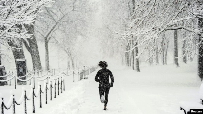 En Fotos | Tormenta de invierno trae fuertes nevadas a Washington DC