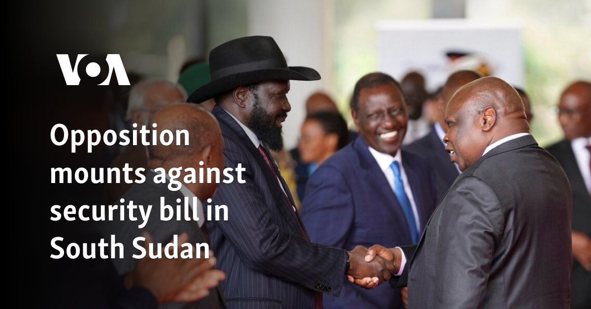 Opposition mounts against security bill in South Sudan