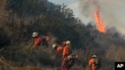 A Cal Fire inmate hand crew works to remove brush to prevent a wildfire from spreading along a remote oil field access road in Ventura County, Calif., Dec. 26, 2015.