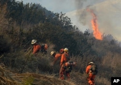 Các tù nhân được đưa tới dẹp bỏ các bụi cây để ngăn cháy rừng lan rộng ở Ventura County, California, ngày 26/12/2015.