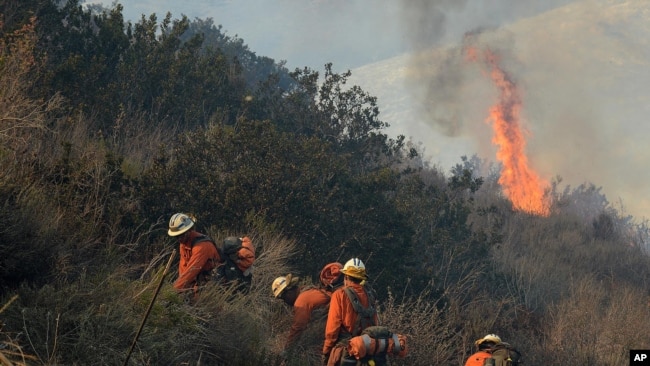 Cháy rừng ở quận Ventura, bang California.