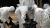 China: Man Dies of Bird Flu