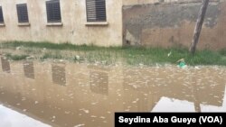 A Dakar Banlieue, les maisons sont envahies par les eaux, le 9 septembre 2019. (VOA/Seydina Aba Gueye)