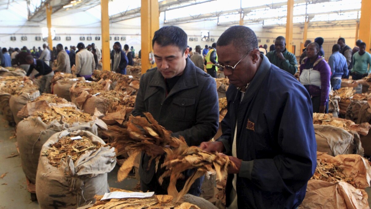 zimbabwe-crafts-law-with-500-fine-for-public-smoking-beer-drinking-limit