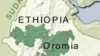 100 Ethiopian Oromo Rebels Surrender