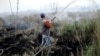 Worker attempts to contain a wildfire razing peatland field in Pedamaran, South Sumatra, Indonesia, Oct. 27, 2015.