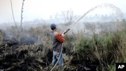 Seorang pekerja berusaha memadamkan api di lahan gambut di Pedamaran, Sumatera Selatan (27/10).