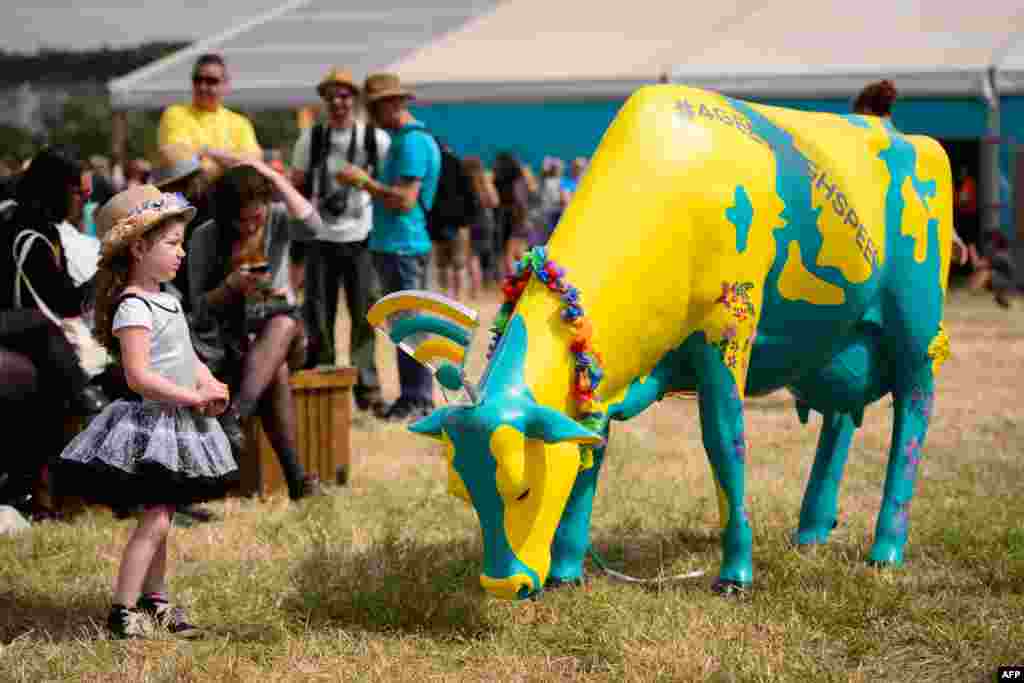 A child stands beside a plastic cow provided by a mobile telecoms company enabling free wifi for festival goers as revelers gather ahead of this weekends Glastonbury Festival of Music and Performing Arts on Worthy Farm near Pilton in Somerset, south west England. 