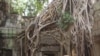 Angkor Wat: Đi, với trái tim