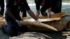 Hong Kong compte interdire le commerce de l'ivoire