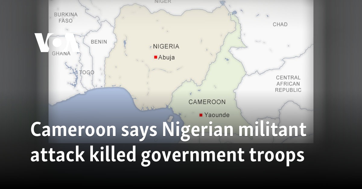 Cameroon says Nigerian militant attack killed government troops