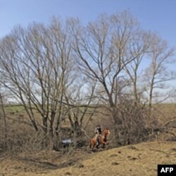 Američki kauboji u Rusiji