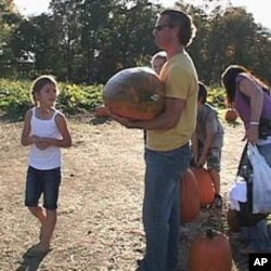 Farms near Washington, DC are attracting city people. Farmers in nearby Loudoun County, Virginia, draw about 3,000 people each weekend.