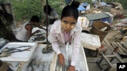 A migrant worker from Burma arranges shrimps at her shop in the Thai border town of Mae Sot, Nov. 7, 2010. (file photo)
