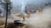 Затяжная жара в Калифорнии стала угрозой новых лесных пожаров 