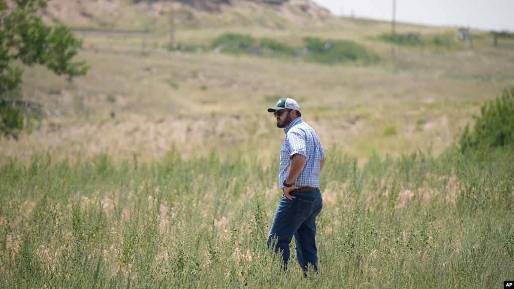 Cole Gustafson, a water resource administrator for the city of Greeley walks in a meadow to find a well head on the Terry Bison Ranch near Carr, Colorado. (AP Photo/David Zalubowski)