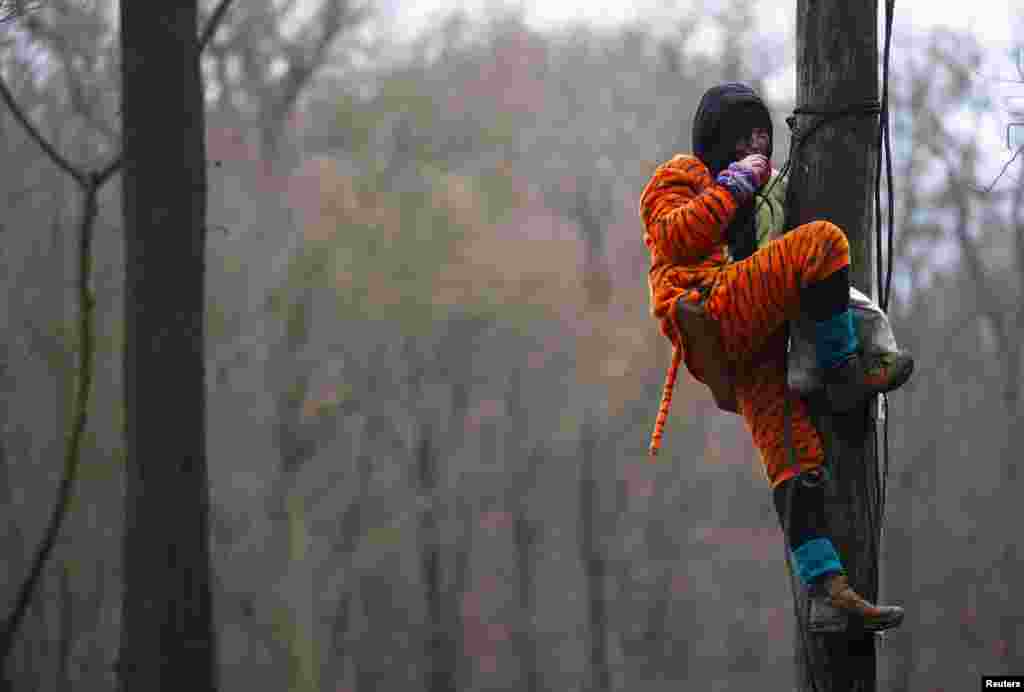 An activist is seen on a tree during a protest against the extension of the A49 motorway, near Dannenrod, Germany.