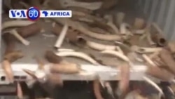 VOA60 Africa