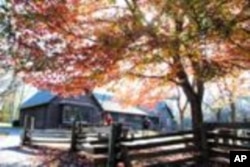 บรรยากาศเที่ยวชมความงามสีสันธรรมชาติของไม้ผลัดใบในฤดูใบไม้ร่วง(Fall Season)ที่สหรัฐฝั่งตะวันออก