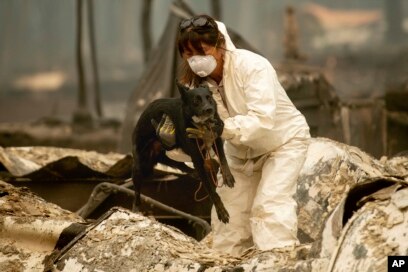 California Blazes' Toll at 66; Camp Fire 40 Percent Contained California Blazes' Toll at 66; Camp Fire 40 Percent Contained