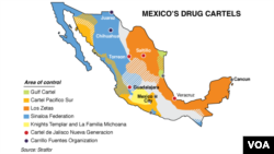 Mexican Drug Cartels