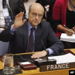 French Foreign Minister Alain Juppe votes in favor of a Libyan resolution during a Security Council Meeting at U.N. headquarters in New York, March 17, 2011