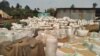 Mu Rwanda Abahinzi b'Umuceri mu Bugarama Bari mu Gihombo