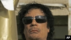 임시정부군의 추척을 받고 있는 가다피