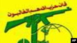 Hezbollah Flag