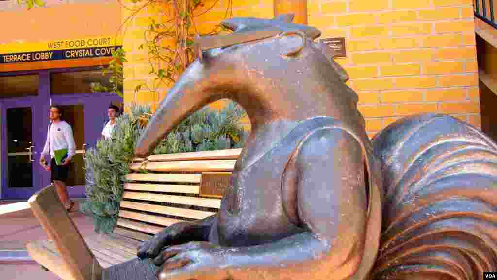 欧文分校的吉祥物食蚁兽的塑像（美国之音国符拍摄）