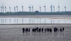 FILE - People explore the wadden sea at the island Norderney, Germany, in front of wind turbines, producing renewable energy, June 1, 2021.