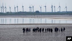 FILE - People explore the wadden sea at the island Norderney, Germany, in front of wind turbines, producing renewable energy, June 1, 2021.