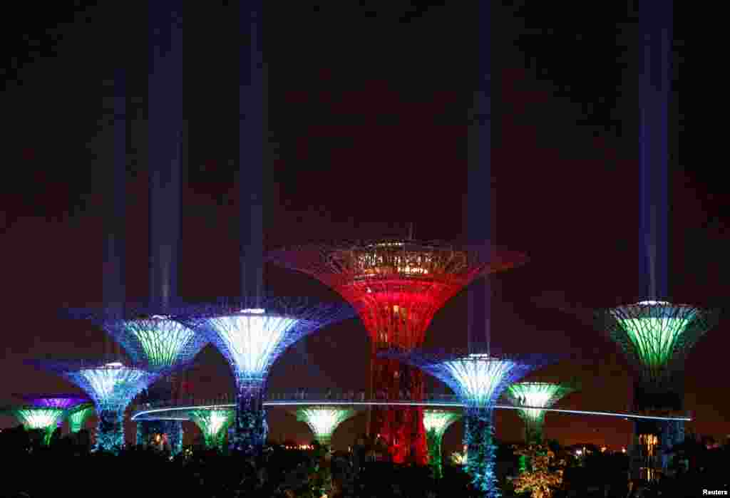 Supertree structures transform into &quot;lightsabers&quot; to mark &quot;May the 4th Star Wars Day&quot; at Gardens by the Bay in Singapore.