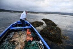 Coleman Dundass, a seaweed harvester, ties up three 'climin', each of which are a two-tonne seaweed bundle that he gathered, as he stands in his currach boat in Kilkieran, Ireland, September 10, 2021. (REUTERS/Clodagh Kilcoyne)